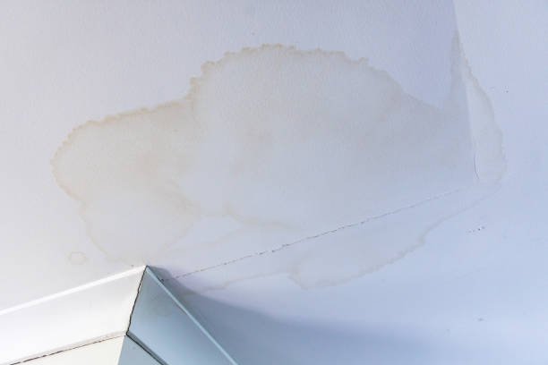 5 Roof Leak Fix Guide Maintenance Lessons I Learned After a Storm