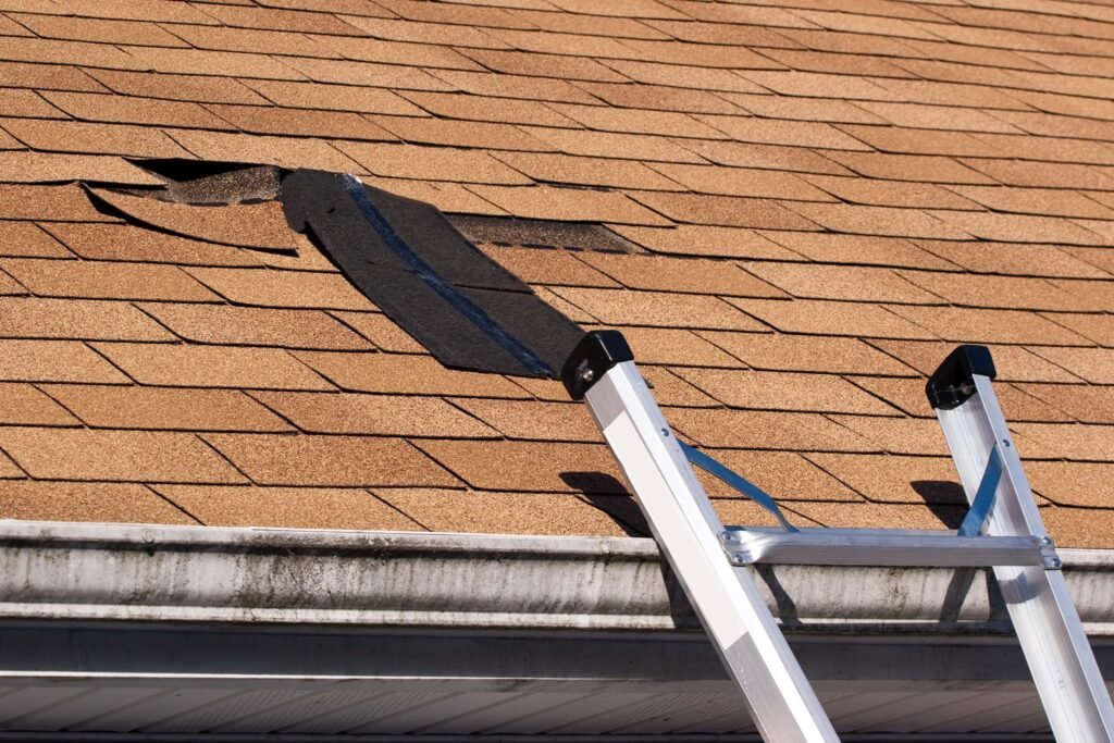 5 Essential Roof Leak Fix Guide Safety Tips You Must Know