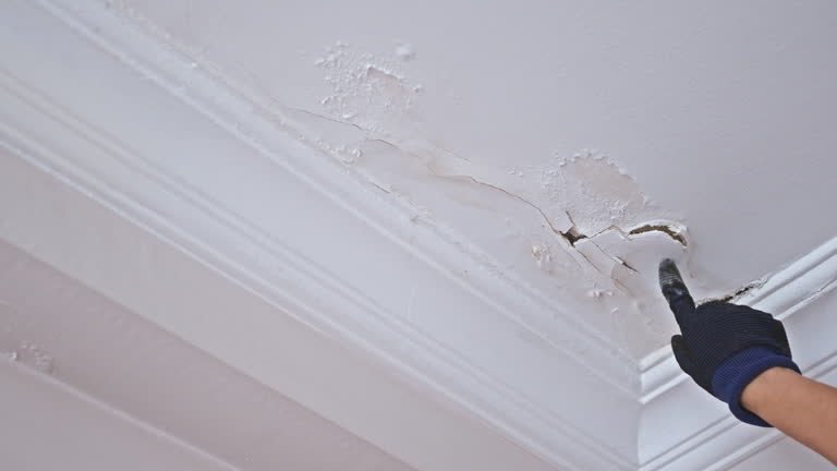 5 Quick Roof Leak Fixing Guide Fixes I Tried During a Storm