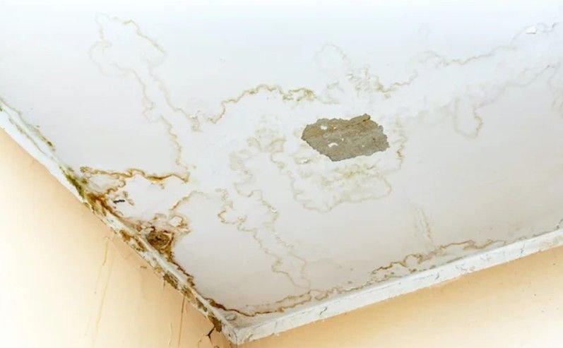 6 Easy Roof Leak Prevention Guide Tips Every Home Needs