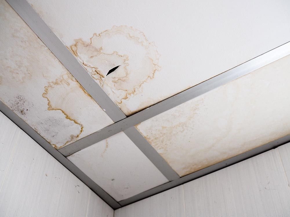 10 Proven Roof Leak Prevention Guide Ideas That Saved My Roof