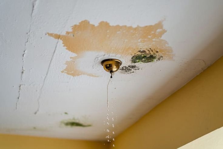 6 Easy Roof Leak Prevention Guide Tips Every Home Needs