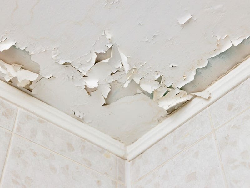 5 Fast Roof Leak Repair Tips That Work in Heavy Rain