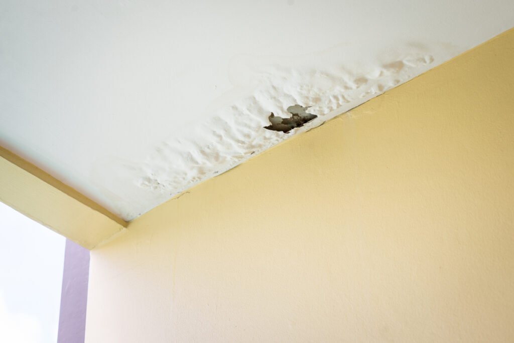 9 Essential Roof Leak Fix Guide Maintenance Tasks for Every Season