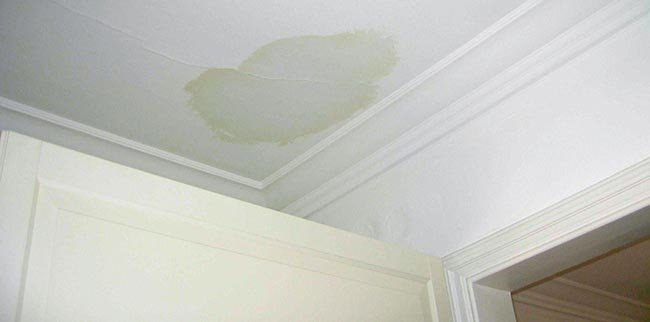 10 Smart Roof Leak Fix Guide Safety Hacks for Fast Repairs