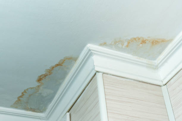 11 Powerful Roof Leak Fix Guide Maintenance Tips for Busy Homeowners