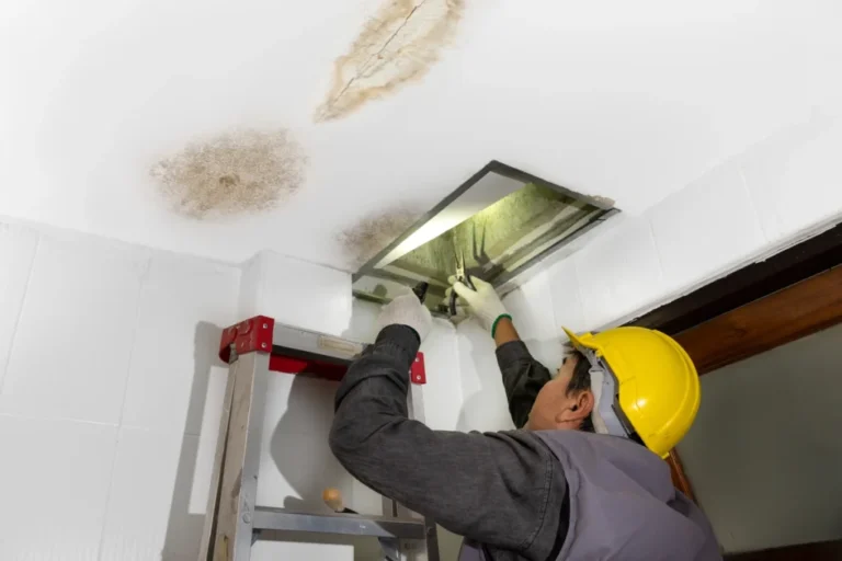 9 Essential Roof Leak Fix Guide Maintenance Tasks for Every Season